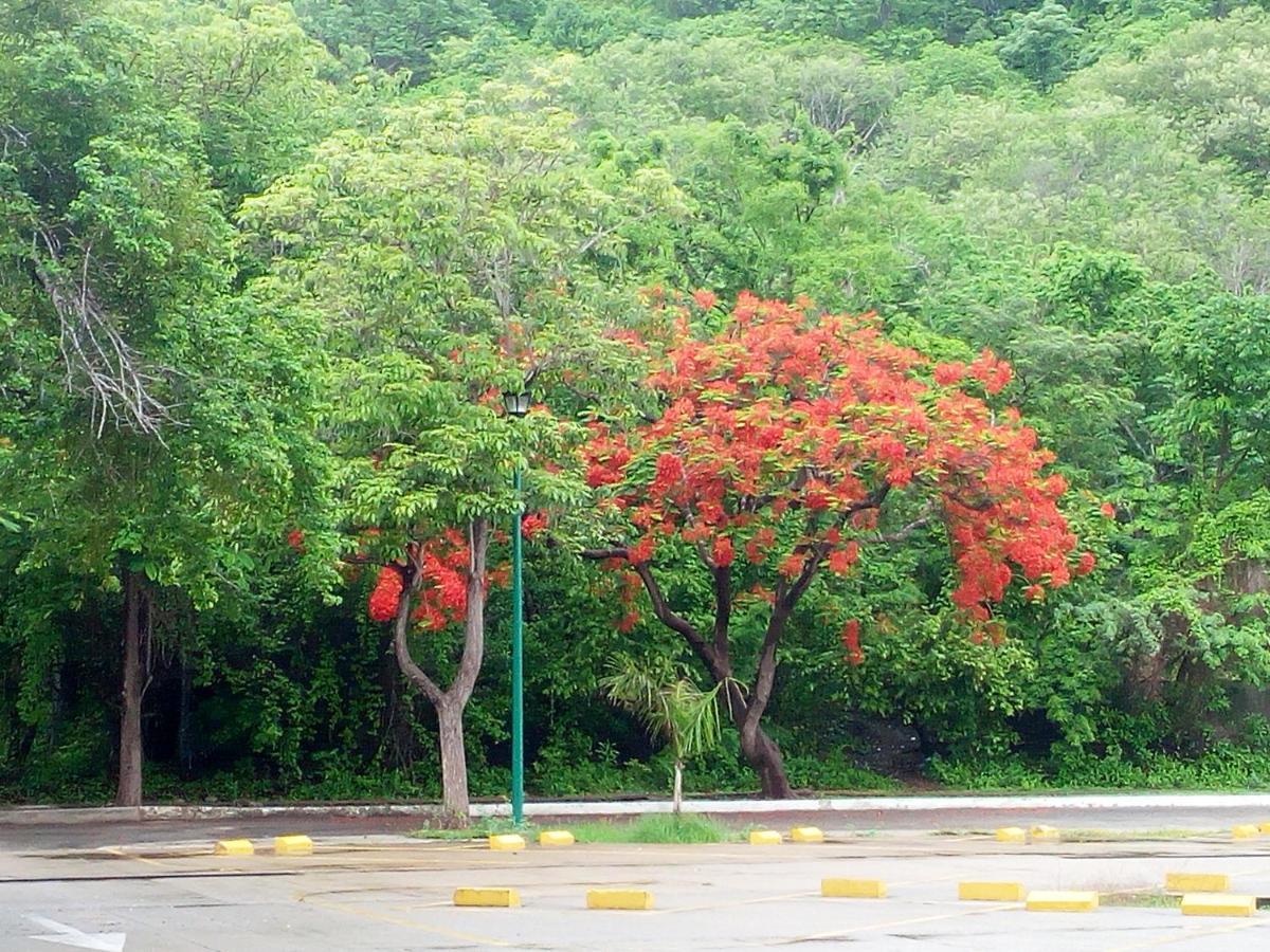 Camino Al Mar Apartment Santa Cruz Huatulco Exterior photo